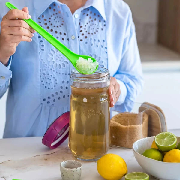Wasserkefir herstellen