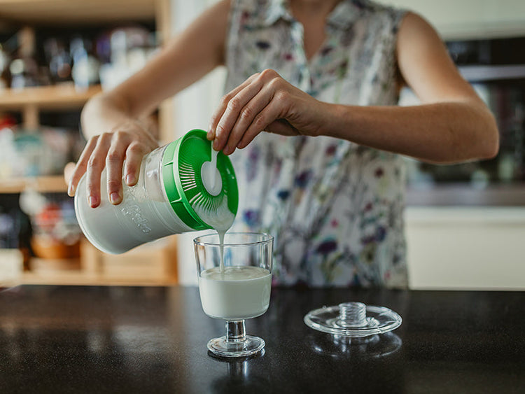Milchkefir zubereiten