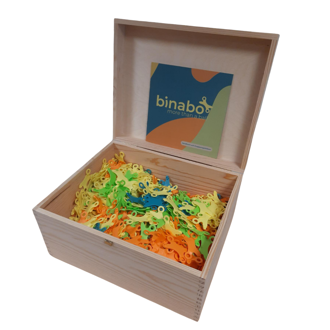 TICTOYS - BINABO Konstruktionsspiel (60/240/1000 Stk)