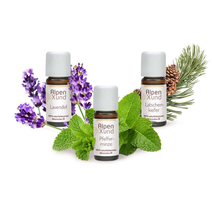 ALPENXUND ätherische Öle (3x10ml) / Lavendel / Pfefferminze / Latschenkiefer