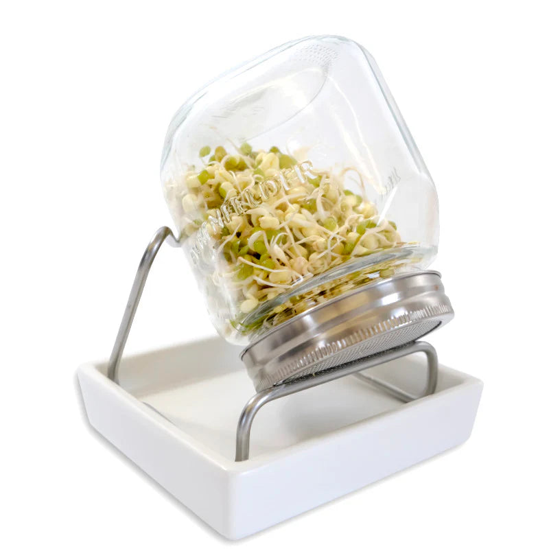 ESCHENFELDER® Sprossen Starter-Kit (Sprossenglas 750ml + Kresseschale (12cm)