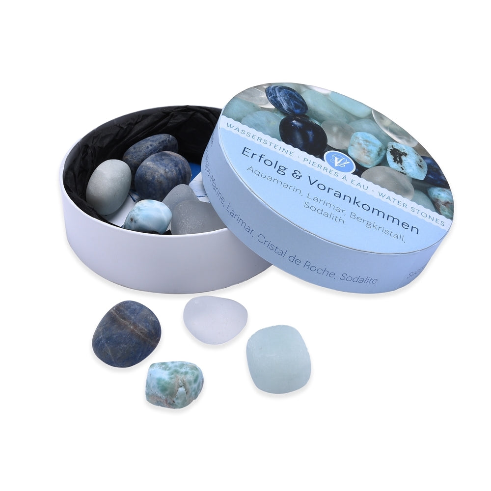 LAPIS VITALIS Wassersteine (100g) / ERFOLG