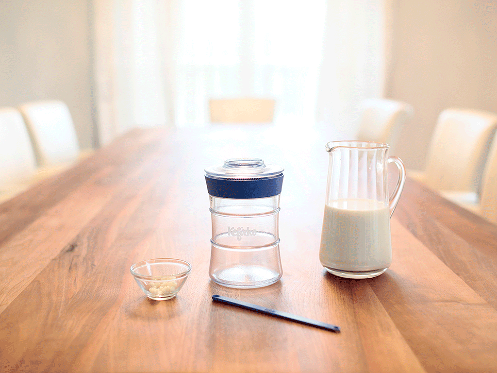 KEFIRKO DIY Milchkefir-Glas (9dl) / GRÜN