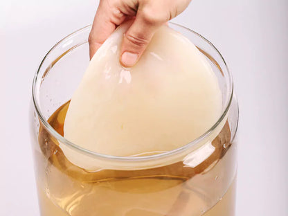 KEFIRKO DIY Kombucha Fermenter STARTER-KIT / ROSE