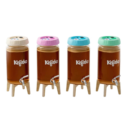 KEFIRKO DIY Kombucha Fermenter 4L (Diverse Farben)