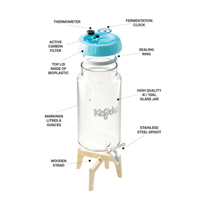 KEFIRKO DIY Kombucha Fermenter STARTER KIT (Diverse Farben)