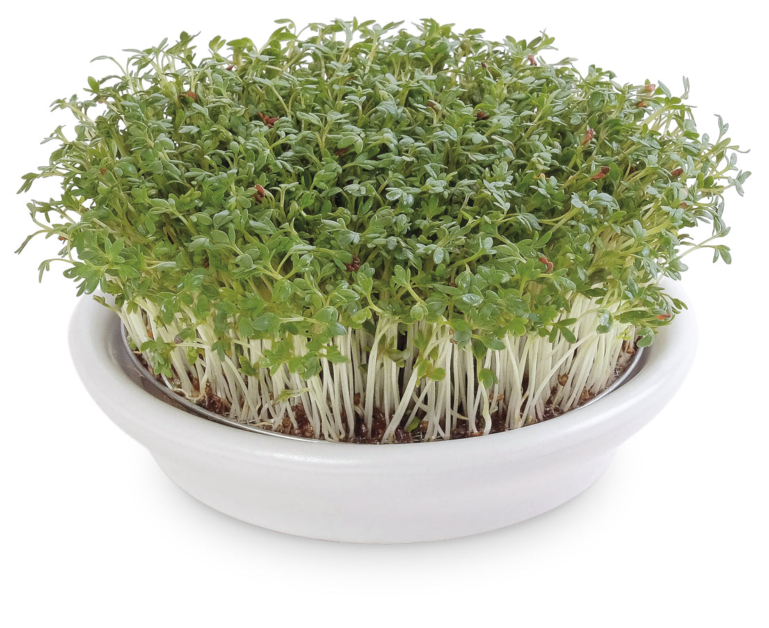 ESCHENFELDER® Kressesieb (21cm)