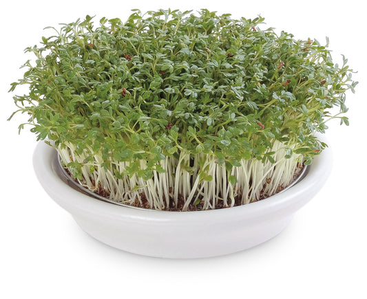 ESCHENFELDER® Kressesieb (21cm)