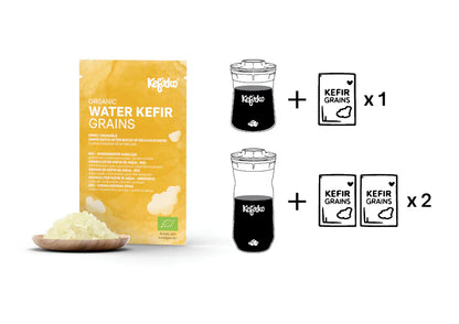 KEFIRKO DIY Wasserkefir STARTER-KIT 1 (Diverse Farben)