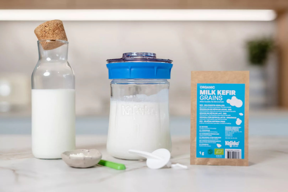 KEFIRKO DIY Milchkefir STARTER KIT (9dl) / WEISS