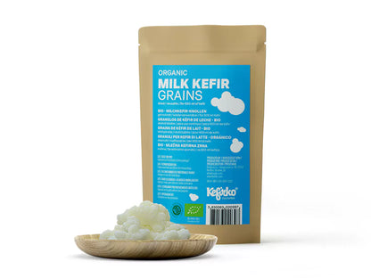 KEFIRKO DIY Milchkefir-Set (9dl) / GRÜN