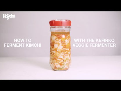 KEFIRKO DIY Glas Veggie (1.4L) / BLAU