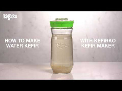 KEFIRKO DIY Wasserkefir Fermenterglas 1.4L (Diverse Farben)