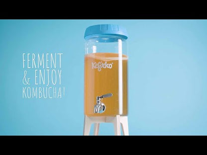 KEFIRKO DIY Kombucha Fermenter KIT II / MINT