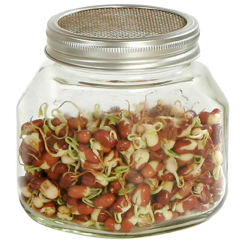 ESCHENFELDER® Ersatz-Sprossenglas ohne Gestell (750ml/1000ml/1500ml)